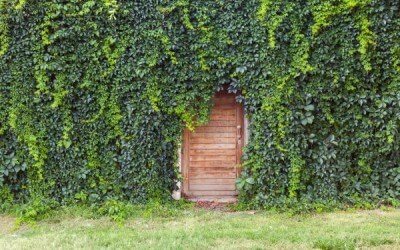 ¿Cómo encontrar una arqueta oculta?