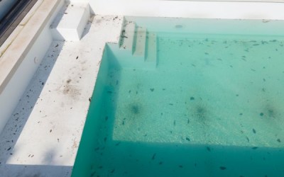 Swimming pool leak repair: Avoid costly excavation process